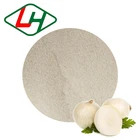 Dehydrated onion 40-80 mesh dried onion Through certifications BRC, Halal, American Kosher