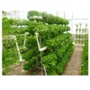 /product-detail/farm-container-wall-system-hydroponic-plant-grow-tent-62295110831.html