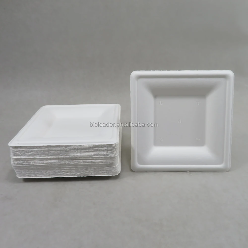 Factory Directly White Square Bagasse Take Away Biodegradable Plates