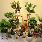Ceramic Pots Ceramic Ceramic Geometric Design Shape Mini Succulent Flower Planter Pots