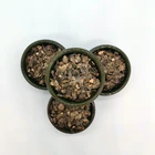 Hot Uniformly Expanded Vermiculite Powder Hot Sale Low Price Uniformly Expanded Vermiculite Powder