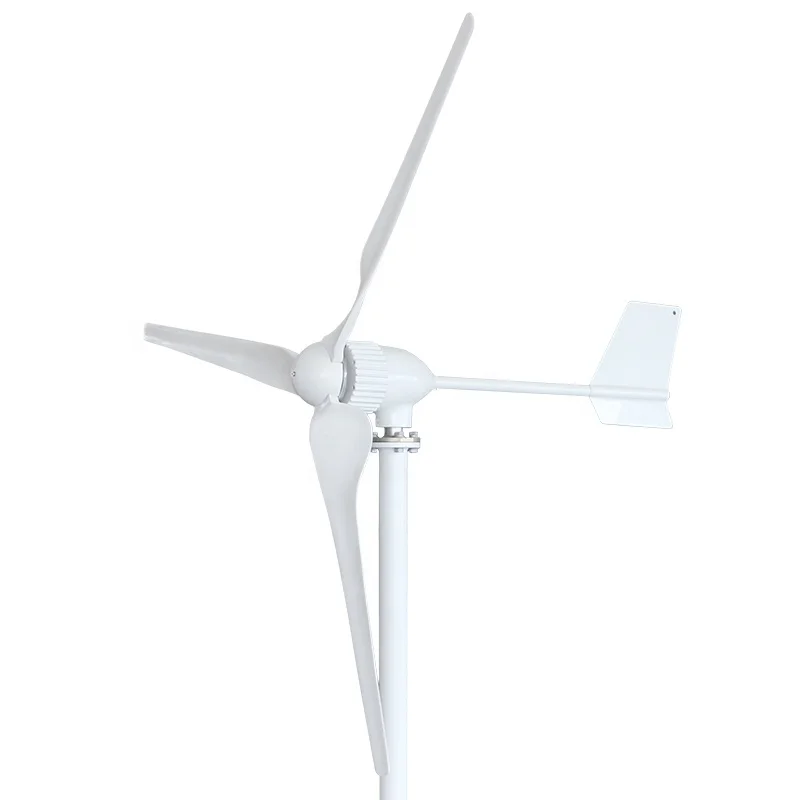 Hause 24V 48V wind turbine1kw generator