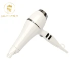 Professional private label travel hair dryer portable electric ionic hair dryer blow dryer
