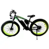 Low Price Nexus Electric Bicycle, Zhejiang Jinhua Big Tire Electric Bike With 750 Watt Motor