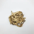 Nature 100%Natural Factory Supply High Quality Chinese Herb Root Angelica Sinensis