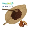 /product-detail/focusherb-supply-ganoderma-extract-reishi-mushroom-powder-62408220107.html