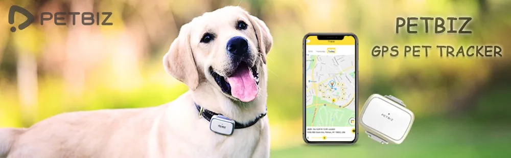 PETBIZ GPS Pet Tracker, NB-IOT(5G) Dog Locater & Activity Monitor, 30 Days Ultra Long-Lasting Battery Dog Tracking Device - ANKUX.COM