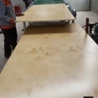 1232x2452mm Prefinish UV plywood manufacturing