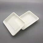 Eco friendly biodegradable disposable corn starch tray