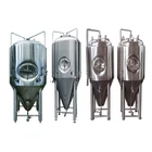 Home Brewing Equipment 500L Beer Fermenter 100l Beer Fermenter