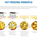 4 Handles CE Fda Approved Cool Tech Fat Freezing Machine Price of Fat Freezing Fat Freezing