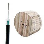 GYXTW Armored Direct Burial Cable 12 Core Fiber Optic Cable Price Per Meter