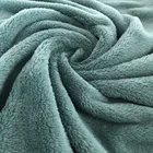 100% Polyester Solid Double-side Coral Fleece Fabric Textile
