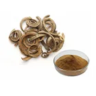 100% Natural Magnolia Bark Extract 98% Honokiol