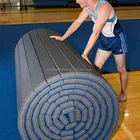 Martial Roll Mat Gymnastics Cheerleading Wrestling Wushu Crash Martial Artist Rolled Up Mat