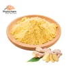/product-detail/organic-certified-100-natural-red-yellow-ginger-powder-pure-dried-ginger-root-extract-powder-62430125379.html