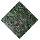 Abalone Shell HCX032 King Abalone Dot Star Point Paint Abalone Shell Paper