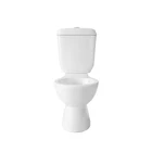 cheap economic functional washdown S-trap toilet