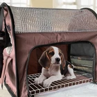 Drying grooming Tool Pet house Collapsible Hair Dryer Box