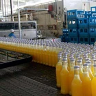 Hot-sale Fruit juice making machine/fruit juice making line/fruit juice making machinery