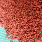 Chinese Chinese Wolfberry Herbs Antioxidant Goji Berry Low-pesticide Berry