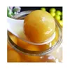 /product-detail/salt-pickled-limes-canned-lemon-for-export-62016231569.html