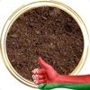 /product-detail/from-belarus-peat-moss-for-the-preparation-of-composts-substrate-62013618338.html
