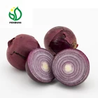 Fresh Style and Liliaceous Vegetables Product Type red onion