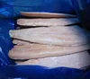 /product-detail/frozen-tilapia-fish-frozen-salmon-horse-mackerel-62016932603.html
