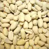 /product-detail/peanut-runner-raw-and-blanched-38-42-40-50-50-60-60-70-70-80-80-100-37-super-jumbo-and-splits-62012072076.html