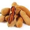 /product-detail/high-quality-indian-tamarind-exporter-62013790796.html