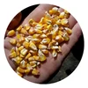 /product-detail/russian-yellow-corn-maize-62013265307.html