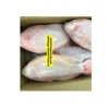 IQF/Frozen Red- Black Tilapia Fish whole round/ fillet / gutted and scaled