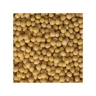 Soy Bean Wholesale Organic Soybeans Style Brands Natural Weight Shelf Origin Type Life Non-GMO Soy Bean