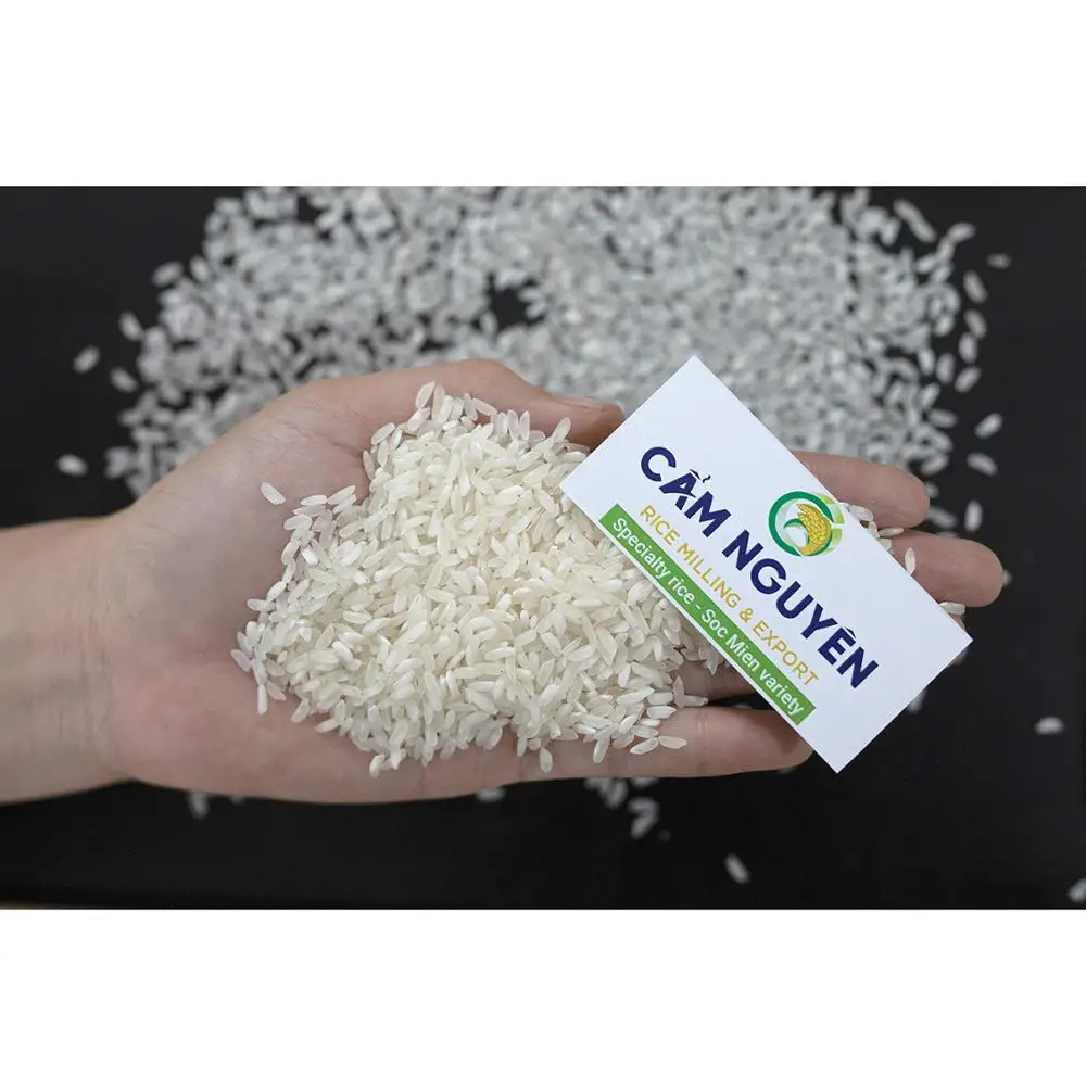 كام رايس فيتنام تصدير بالجملة 2019 المحاصيل Soc مين متنوعة رخيصة الأرز فيتنام 5% أرز حبوب متوسطة مكسورة