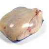 /product-detail/premium-sales-halal-fresh-frozen-chicken-fillet-62011926169.html