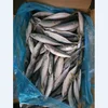 /product-detail/quality-frozen-pacific-herring-at-affordable-price-62012201806.html