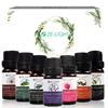 OEM Natural Daily Use Body Skin Care Chamomile Rosemary Mint Rose Tea Tree Jojoba Lavender Chamomile Oils Organic Essential Oil