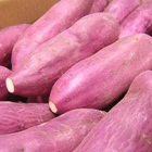 FROZEN SWEET POTATO CUBE CUT 2020 FROM GLOBAL FOOD JSC VIETNAM