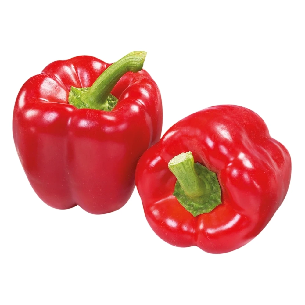 export good quality fresh vietnam red bell pepper