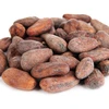 /product-detail/organic-cocoa-beans-62012513836.html