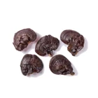 Herbs Anti Inflammatory Natural Traditional Herbs Ganoderma Lucidum