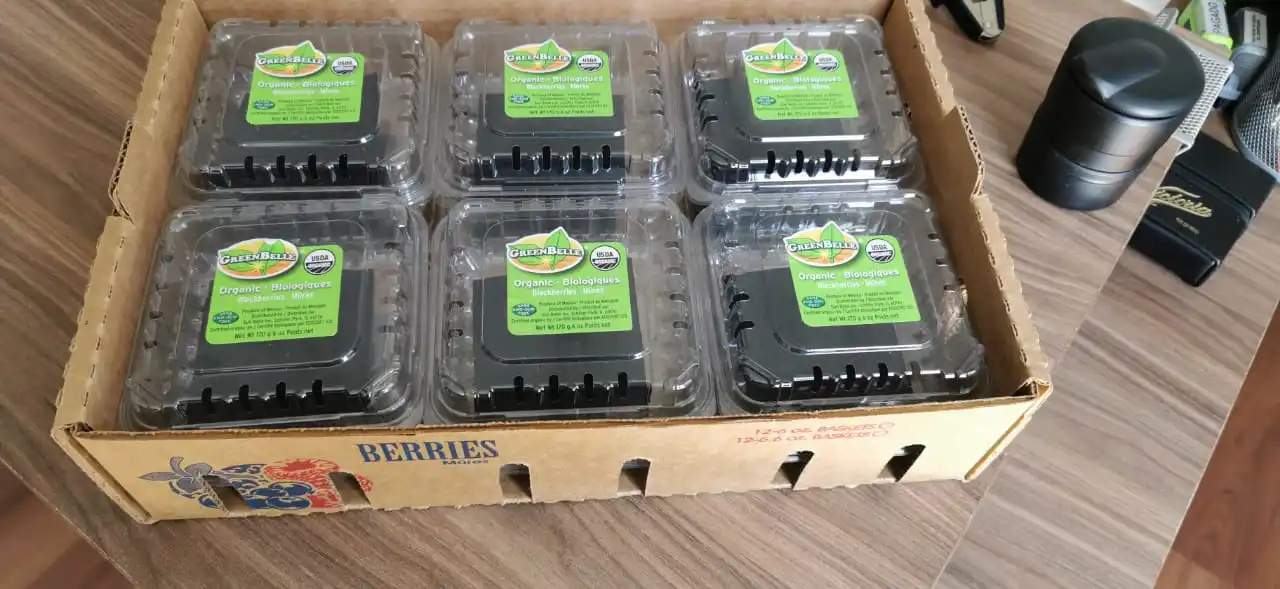 organic and fresh blackberries - buy organic fruit,berries