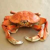 /product-detail/frozen-blue-swimming-crab-cut-crab-crab-meat-62013493245.html