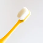 Modern healthy eco friendly hygiene cleaning dental polisher whitening orthodontic soft teeth brush
