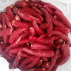 IQF Hot Pepper Red Frozen Chilli Puree