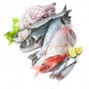 /product-detail/frozen-seafood-frozen-basa-fish--62016658451.html