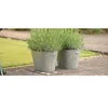 /product-detail/high-quality-round-zinc-planter-62011798875.html