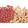 Exporters of Quality Peanuts, Groundnuts Wholesale