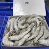 /product-detail/frozen-black-tiger-shrimp-with-high-quality-the-best-price-62012837617.html
